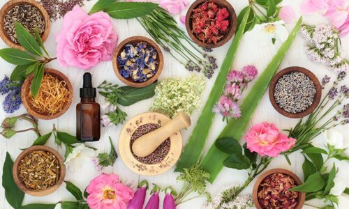 Certified Bach Flower Therapist Course – Become a Healer